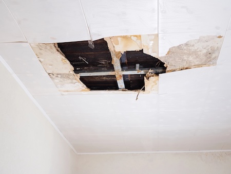 Water damaged drywall what homeowners should do in the first 24 hours