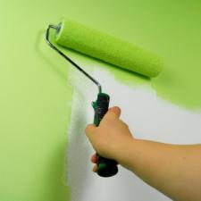 Mold Removal